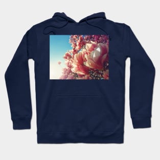 spring beams Hoodie